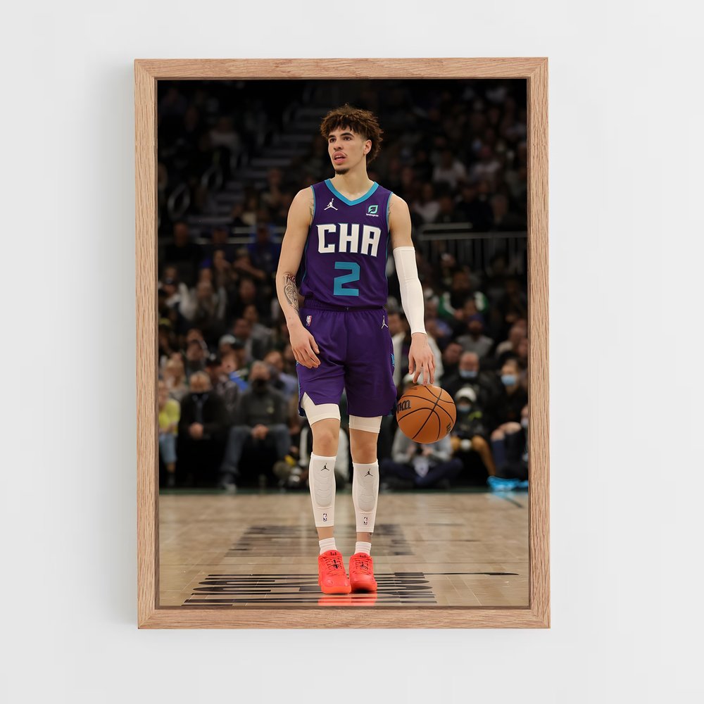 Poster Hornets en Action – affiche Basketball (vue 4)